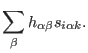 $\displaystyle \sum_{\beta} h_{\alpha \beta}s_{i\alpha k}.$