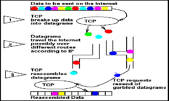 \includegraphics[%
width=1.0\textwidth,
height=0.60\textwidth]{tcpip.epsi}